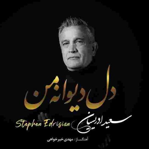 دانلود آهنگ دل دیوانه ی من استفن ادریسیان